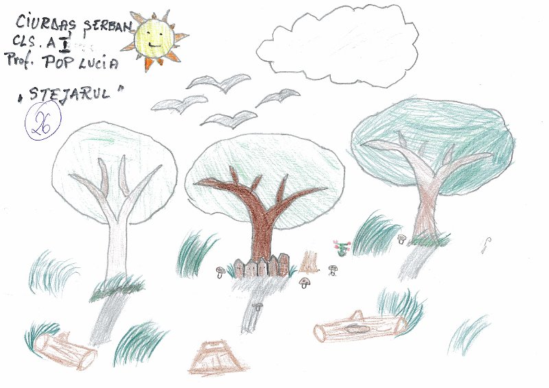 26_Serban CIURDAS_Lucacesti.jpg